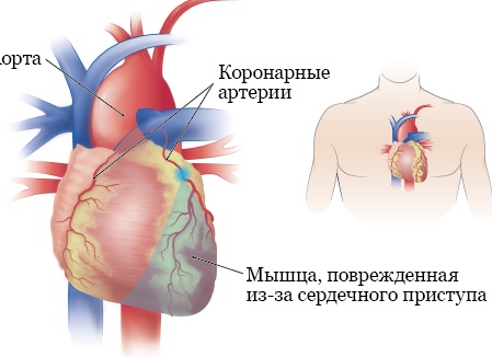 Как зацепить мужчину, чтобы он за Вами бегал