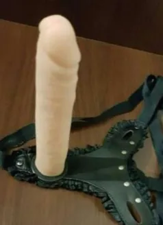   , 23, 
